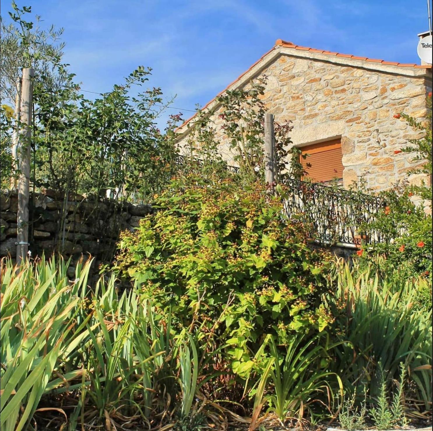 Lirios Da Granja - Casa De Campo Exterior foto